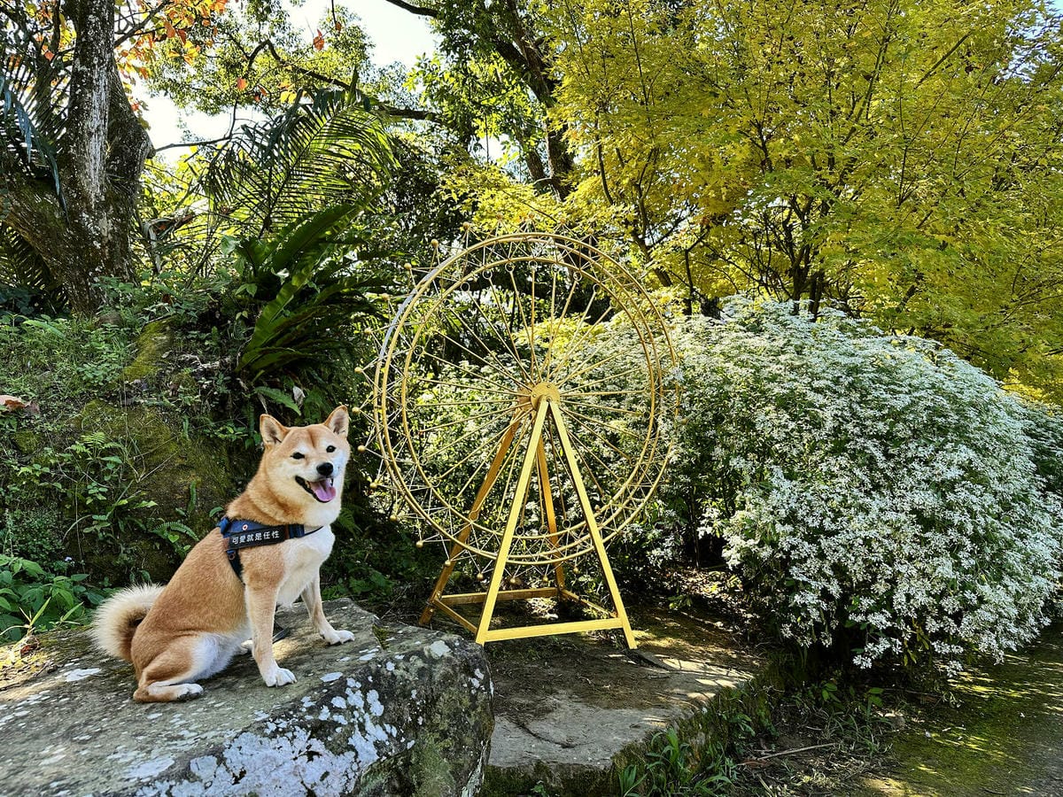 IMG_6428.JPG IMG_6428.JPG