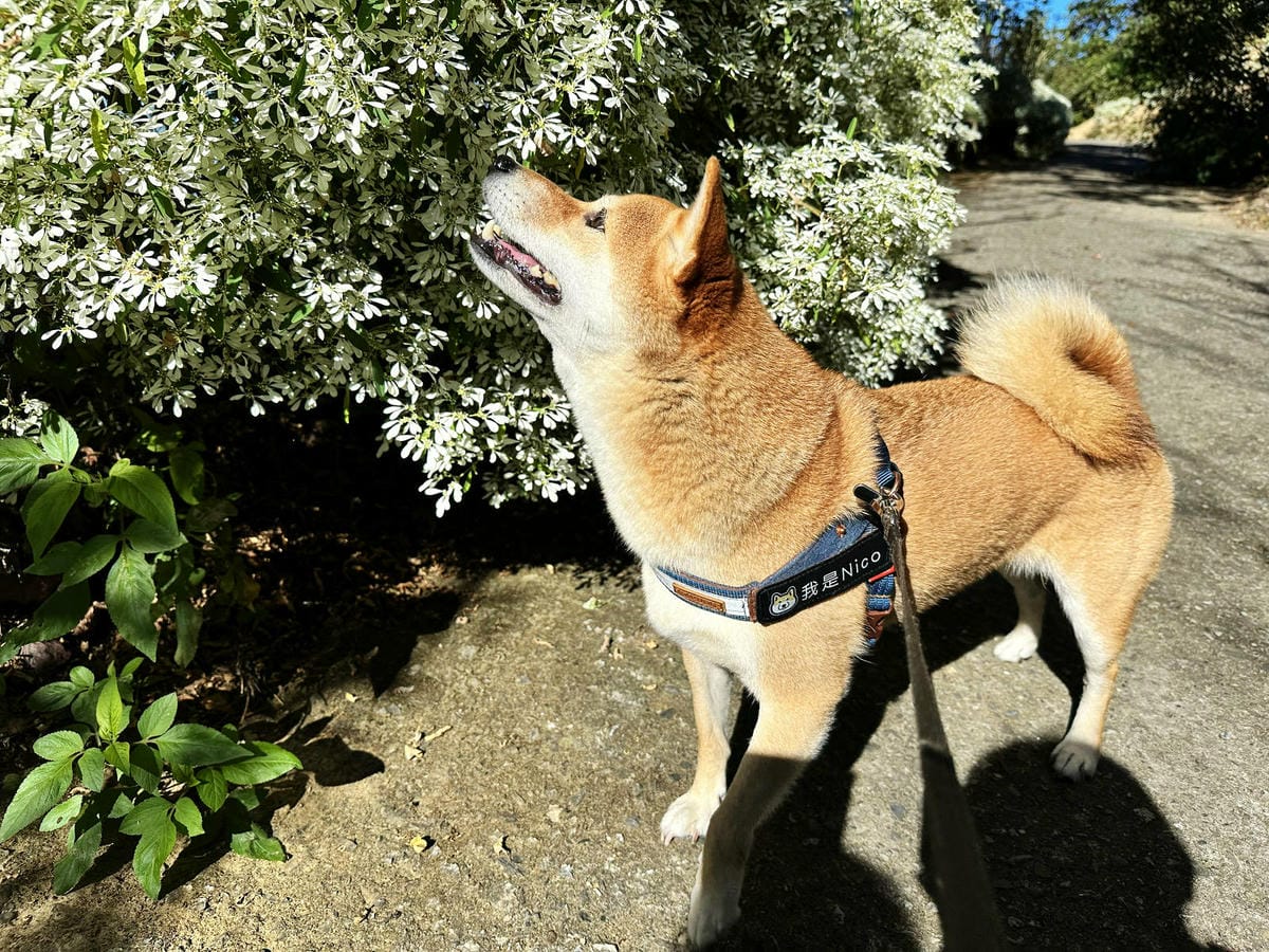 IMG_6357.JPG IMG_6357.JPG