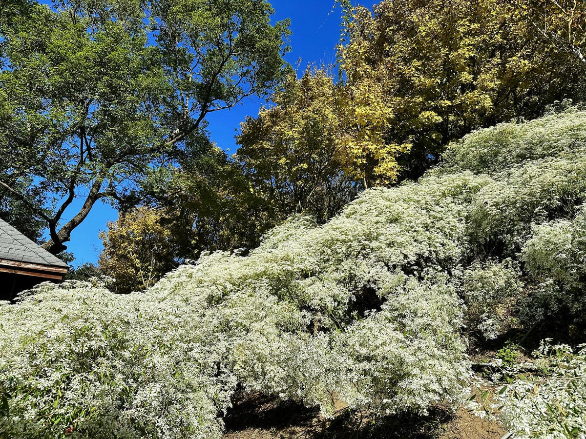 IMG_6425.JPG IMG_6425.JPG