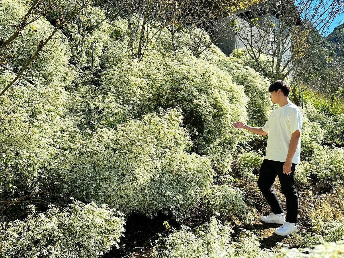 IMG_6415.JPG IMG_6415.JPG