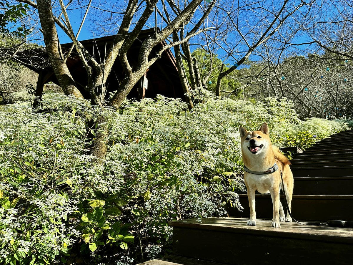 IMG_6341.JPG IMG_6341.JPG