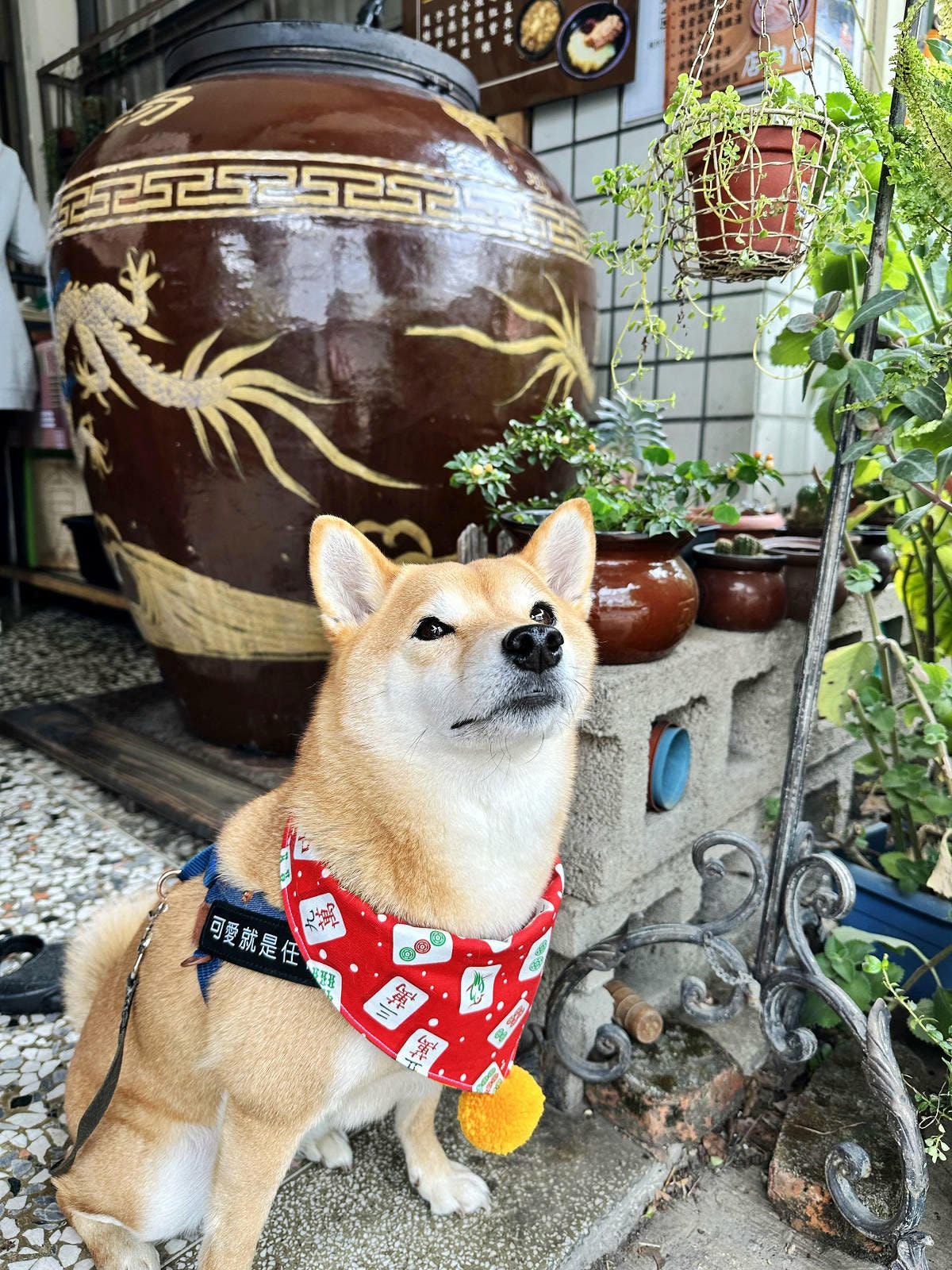 IMG_8047.JPG IMG_8047.JPG