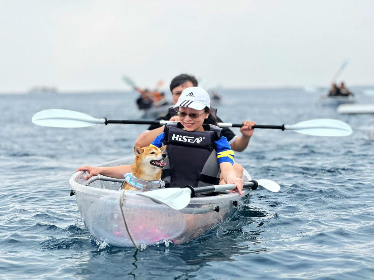 LINE_ALBUM_0225 1330_230228_677.jpg LINE_ALBUM_0225 1330_230228_677.jpg