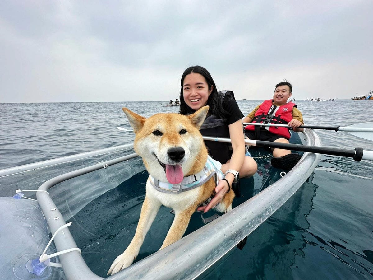 LINE_ALBUM_0225 1330_230228_670.jpg LINE_ALBUM_0225 1330_230228_670.jpg