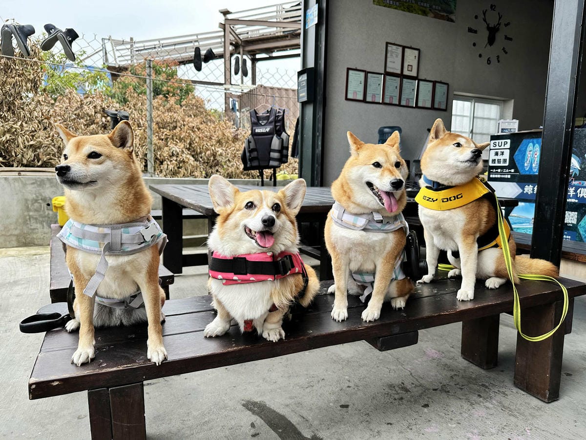 IMG_8950.JPG IMG_8950.JPG