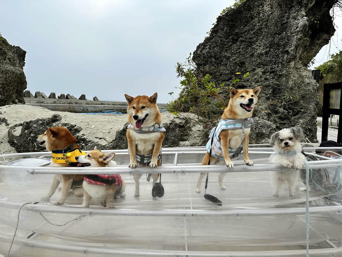 IMG_8959.JPG IMG_8959.JPG