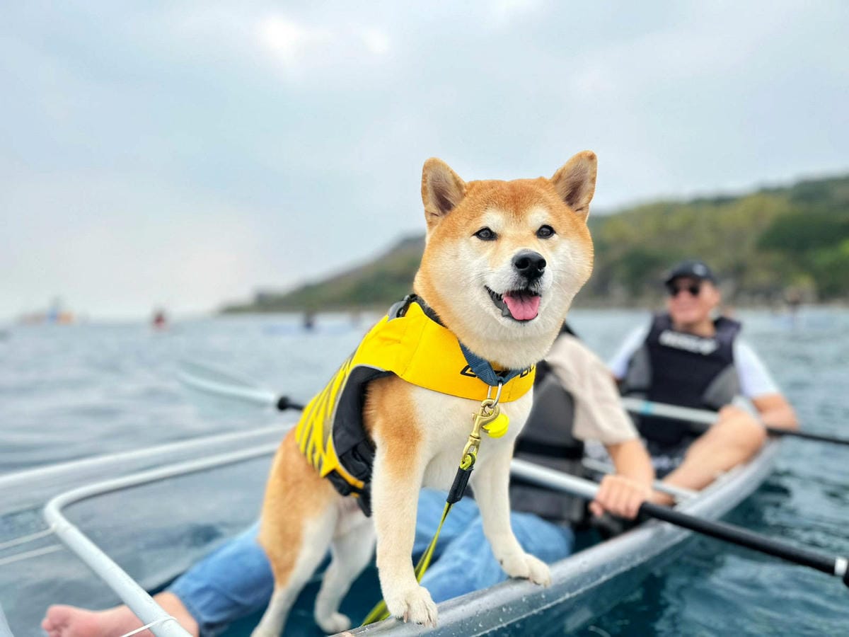 LINE_ALBUM_0225 1330_230228_658.jpg LINE_ALBUM_0225 1330_230228_658.jpg