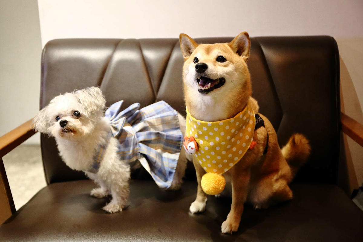 永和隱藏版招牌超低調!永和必訪風格餐酒館,大啖美餐美酒,CP