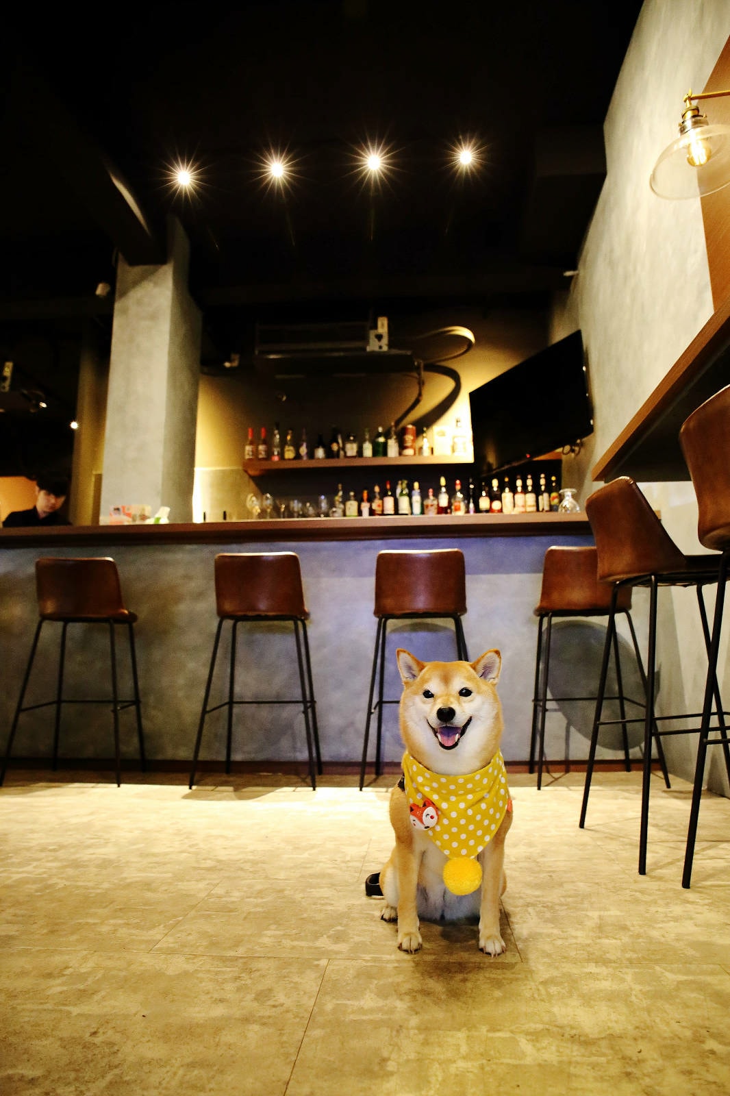 永和隱藏版招牌超低調!永和必訪風格餐酒館,大啖美餐美酒,CP