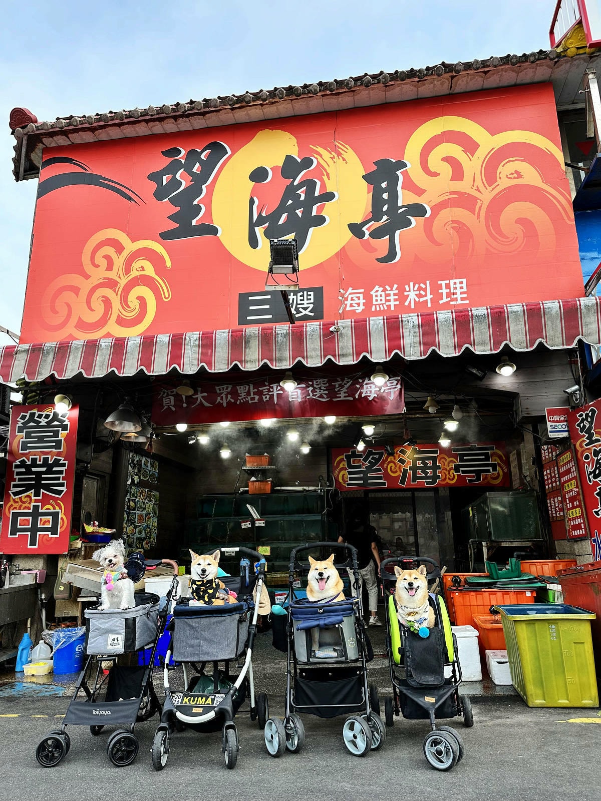 IMG_2038.JPG IMG_2038.JPG