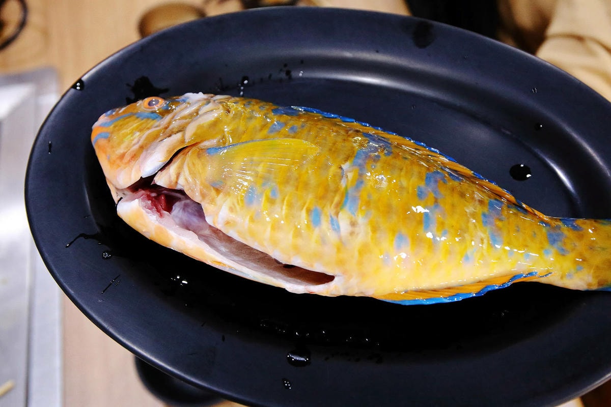 CP值爆表!當天到港海鮮漁獲燒烤吃到飽,超過30多種現流魚、 CP值爆表!當天到港海鮮漁獲燒烤吃到飽,超過30多種現流魚、