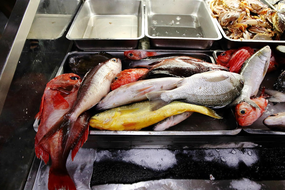 CP值爆表!當天到港海鮮漁獲燒烤吃到飽,超過30多種現流魚、 CP值爆表!當天到港海鮮漁獲燒烤吃到飽,超過30多種現流魚、