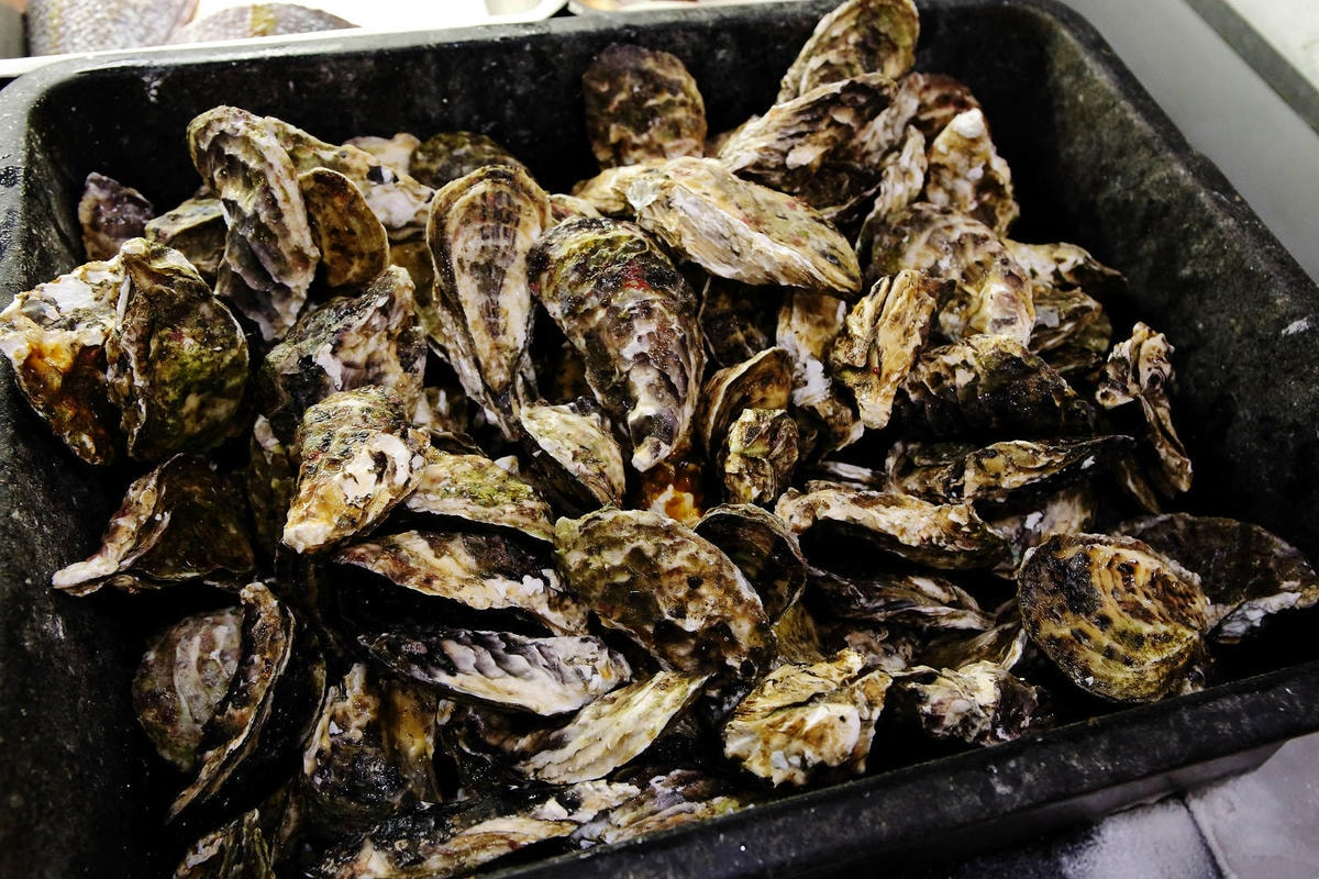 CP值爆表!當天到港海鮮漁獲燒烤吃到飽,超過30多種現流魚、 CP值爆表!當天到港海鮮漁獲燒烤吃到飽,超過30多種現流魚、