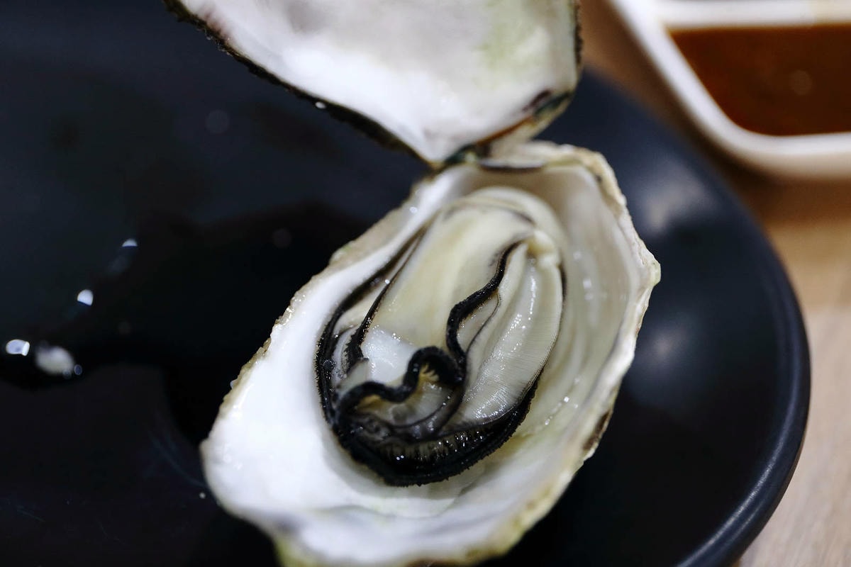 CP值爆表!當天到港海鮮漁獲燒烤吃到飽,超過30多種現流魚、 CP值爆表!當天到港海鮮漁獲燒烤吃到飽,超過30多種現流魚、