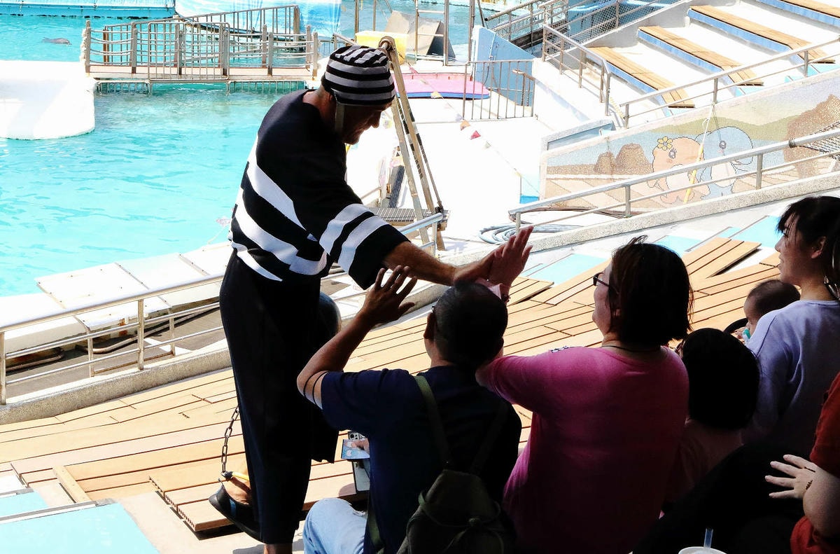 北海岸推薦親子景點,野柳海洋世界,海豚、海獅、高空跳水表演,