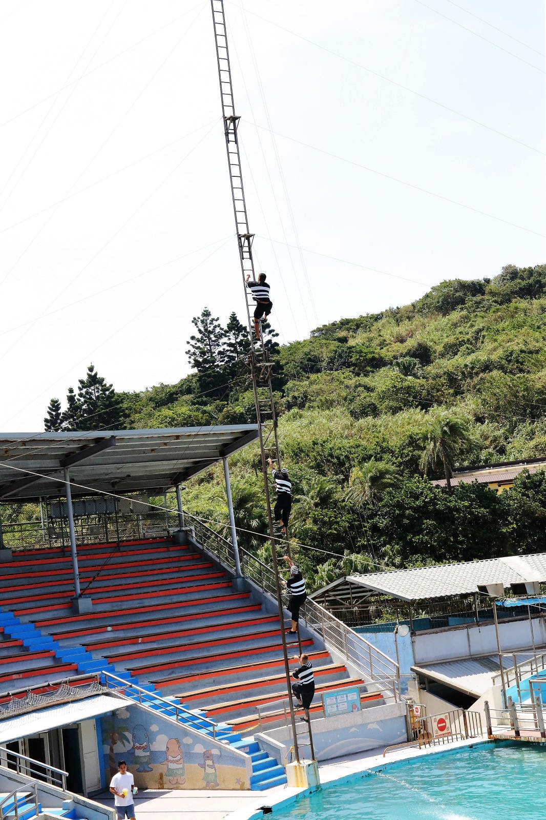 北海岸推薦親子景點,野柳海洋世界,海豚、海獅、高空跳水表演,