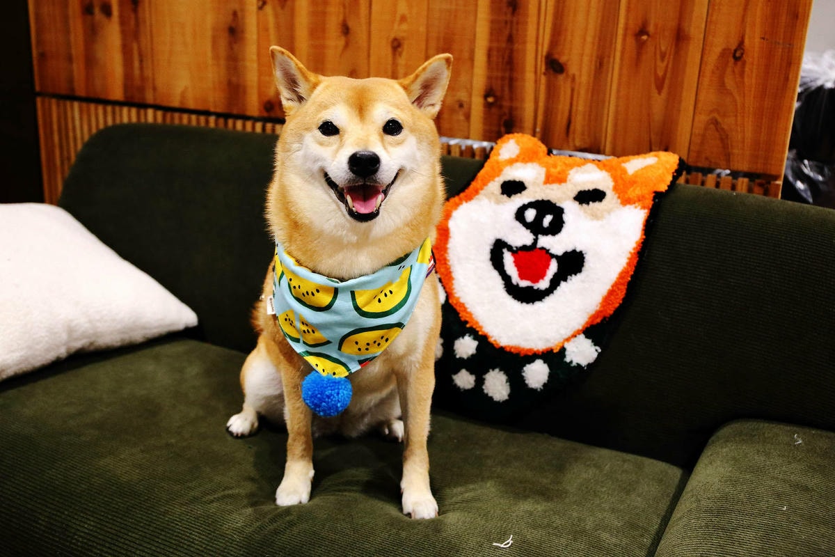 自己的地毯自己做!手作地毯Tufting初體驗!全台灣最大最