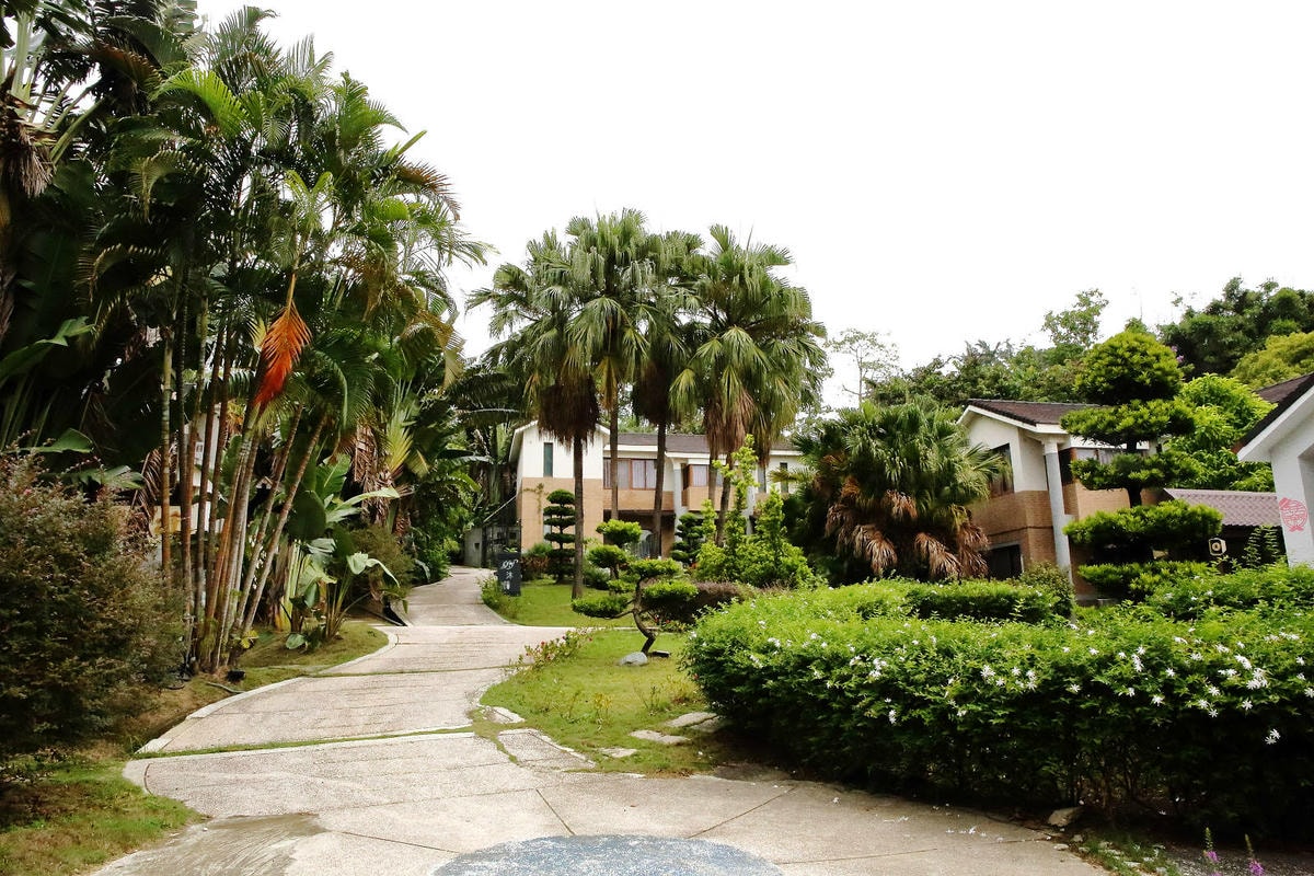 竹科寶山特區隱藏版茶餐廳,超美玻璃屋餐廳,好吃、好美、好好拍