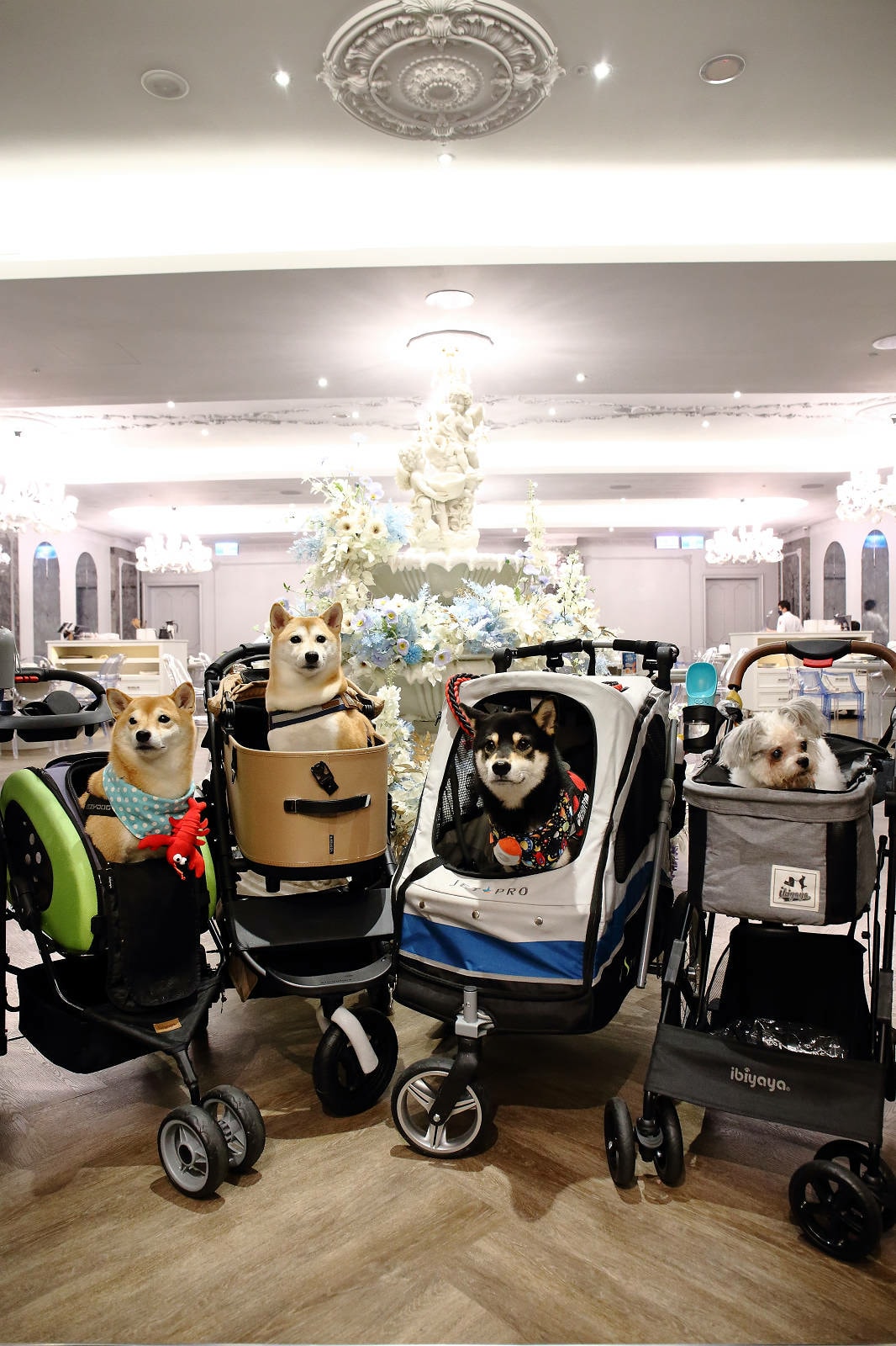 新莊美食推薦,新莊典華濤濤海鮮蒸氣鍋,新鮮海鮮、現蒸現吃,C