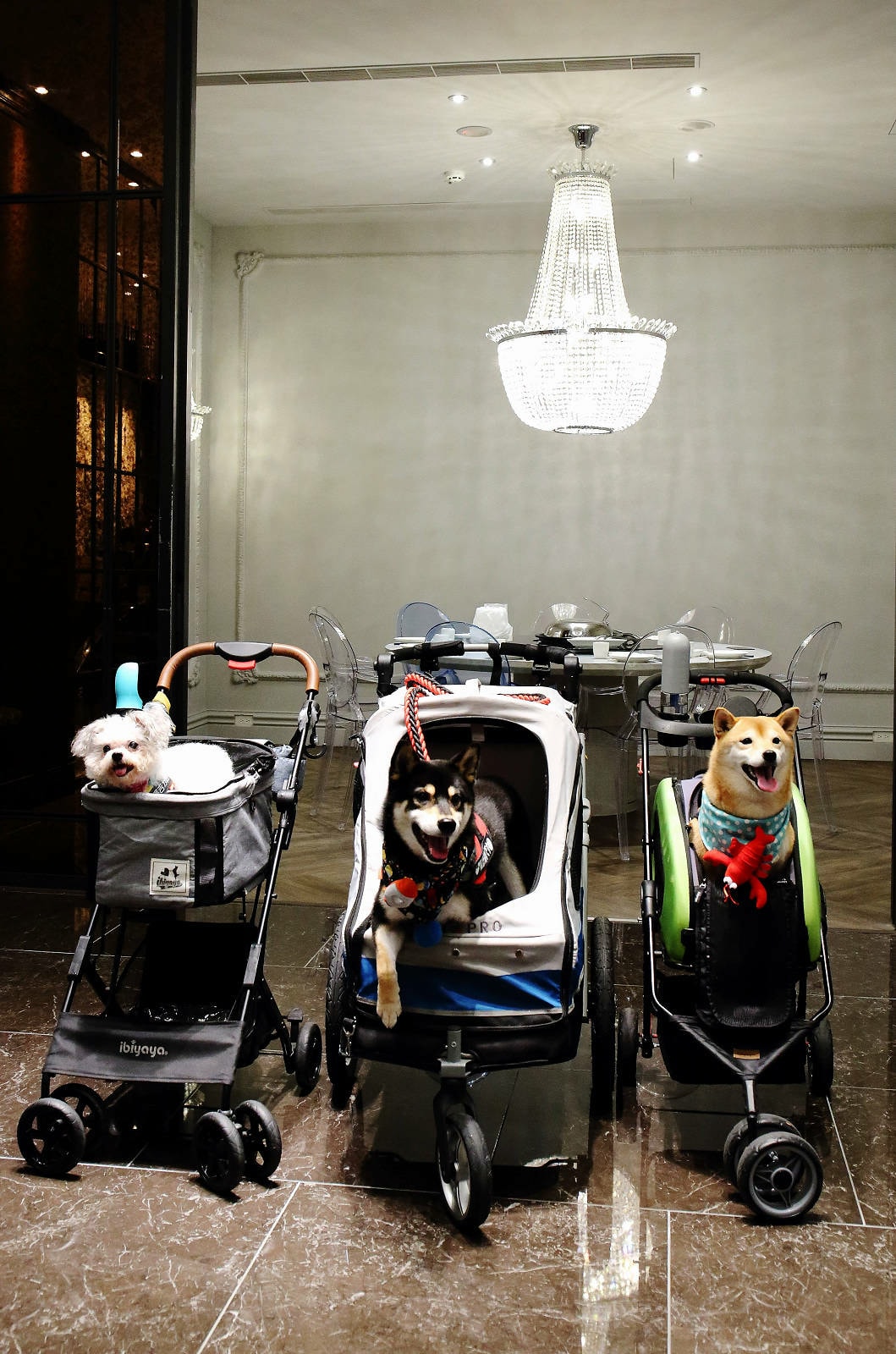 新莊美食推薦,新莊典華濤濤海鮮蒸氣鍋,新鮮海鮮、現蒸現吃,C