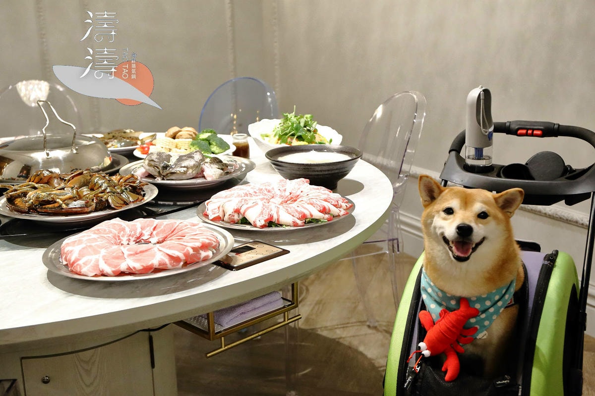 新莊美食推薦,新莊典華濤濤海鮮蒸氣鍋,新鮮海鮮、現蒸現吃,C