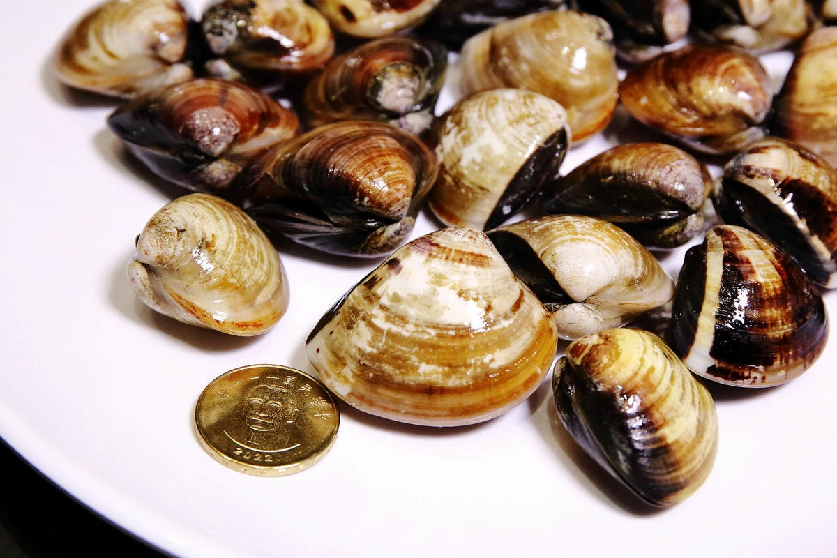 新莊美食推薦,新莊典華濤濤海鮮蒸氣鍋,新鮮海鮮、現蒸現吃,C