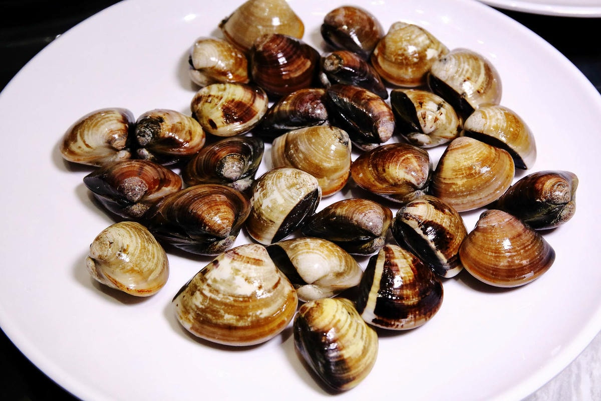 新莊美食推薦,新莊典華濤濤海鮮蒸氣鍋,新鮮海鮮、現蒸現吃,C