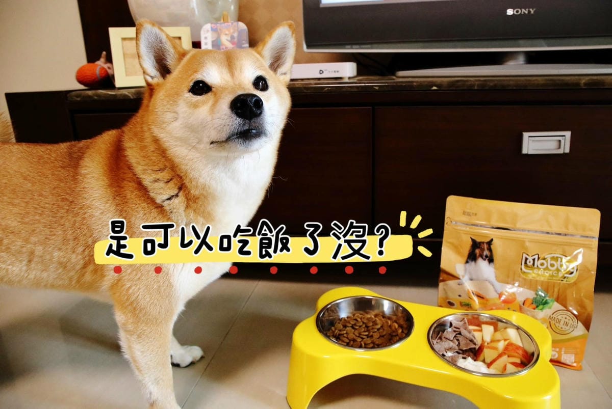 莫比狗自然食Mobby Choice狗食譜 全面升級，鮮肉增