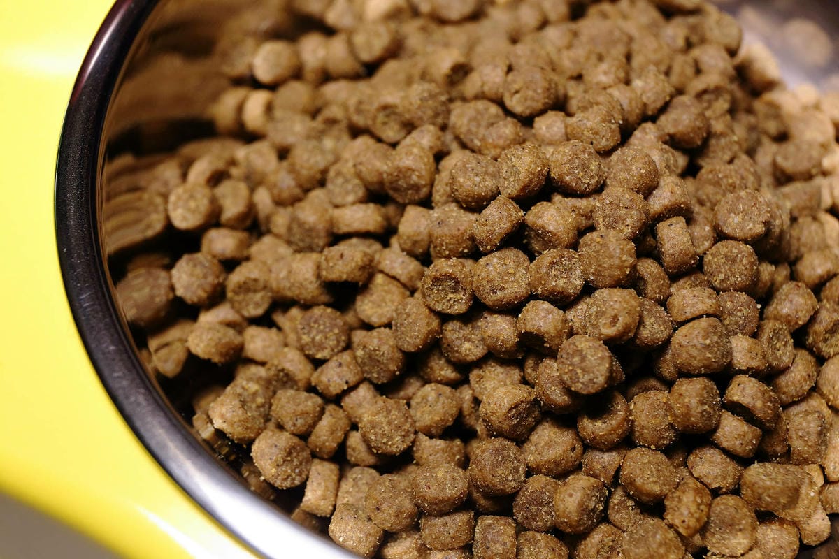 莫比狗自然食Mobby Choice狗食譜 全面升級，鮮肉增