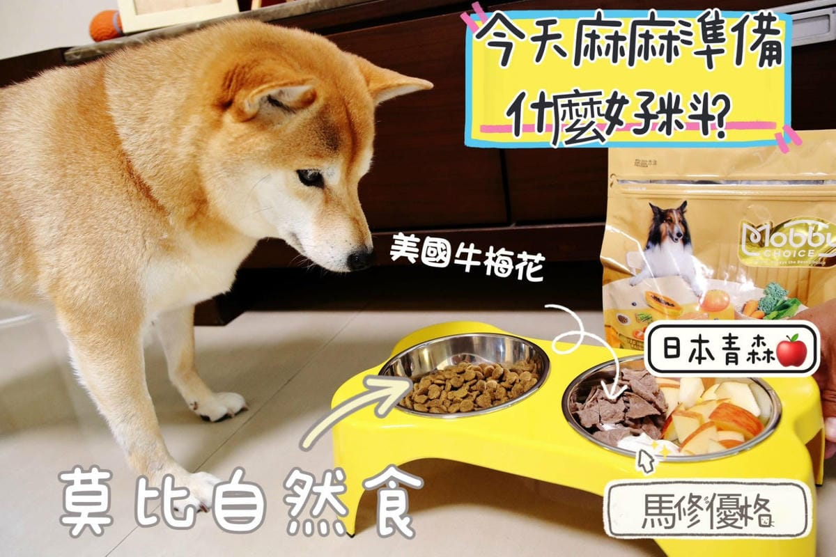 莫比狗自然食Mobby Choice狗食譜 全面升級，鮮肉增