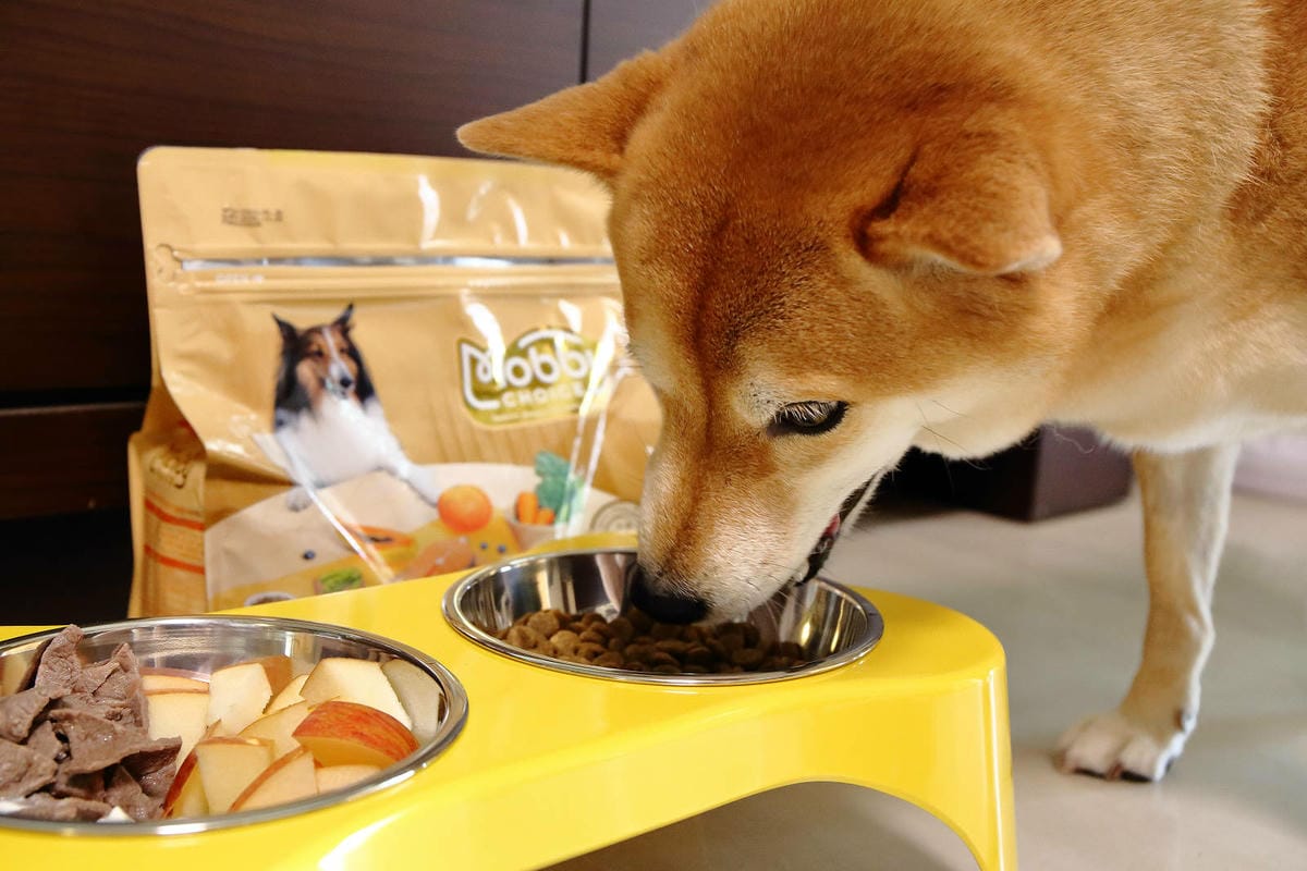 莫比狗自然食Mobby Choice狗食譜 全面升級，鮮肉增