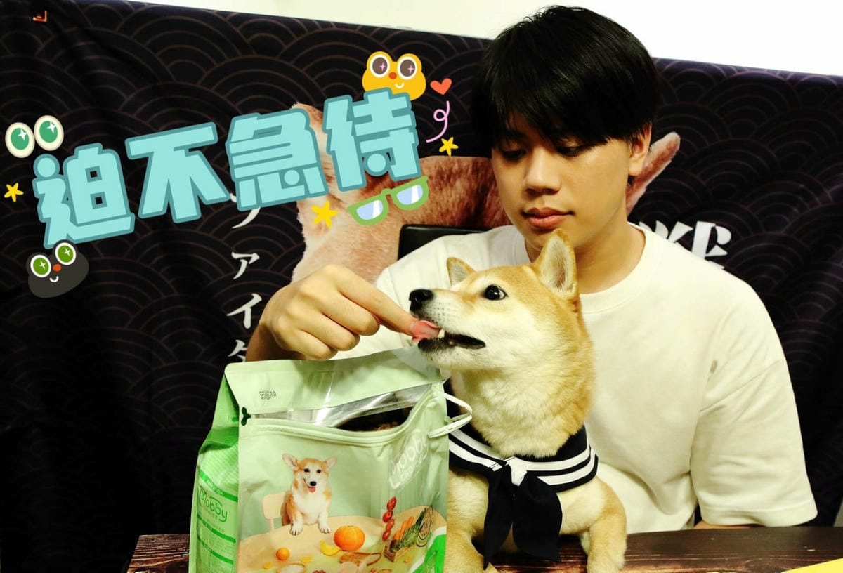 莫比狗自然食Mobby Choice狗食譜 全面升級，鮮肉增