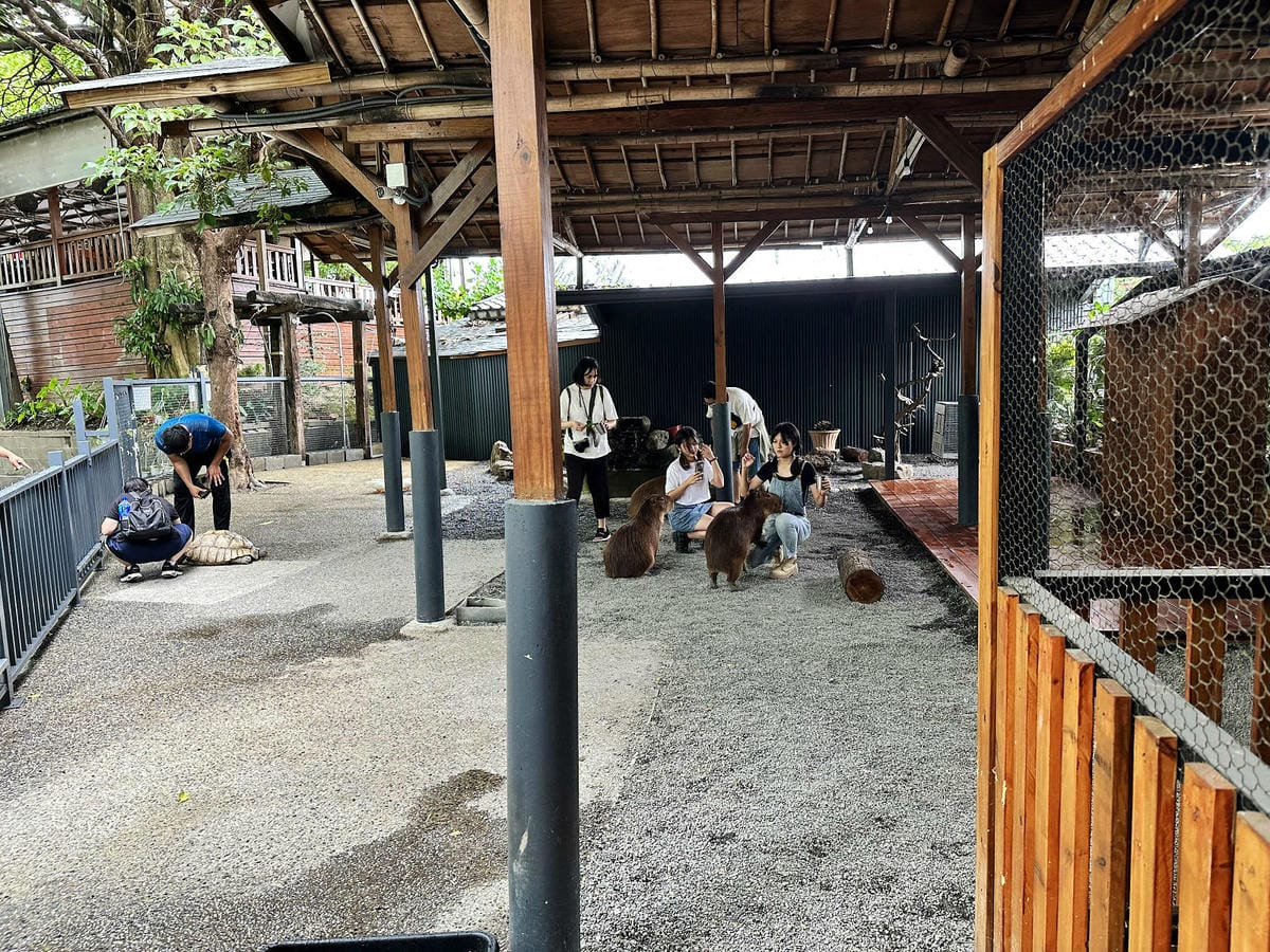 高雄親子景點寵物友善景觀餐廳。喝咖啡看飛機、可愛動物區互動、