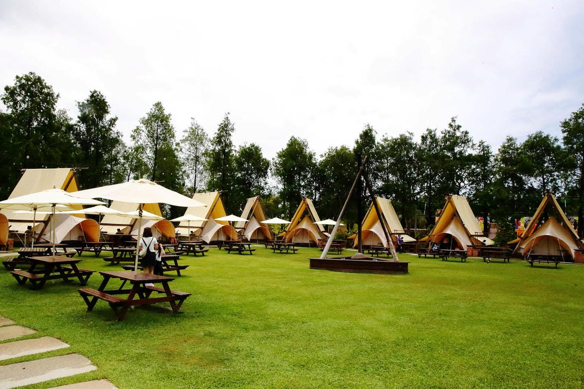 高雄親子景點寵物友善景觀餐廳。喝咖啡看飛機、可愛動物區互動、