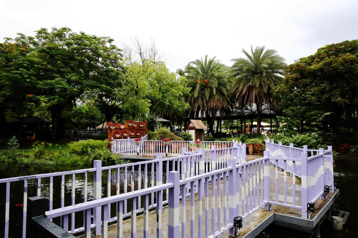 高雄親子景點寵物友善景觀餐廳。喝咖啡看飛機、可愛動物區互動、