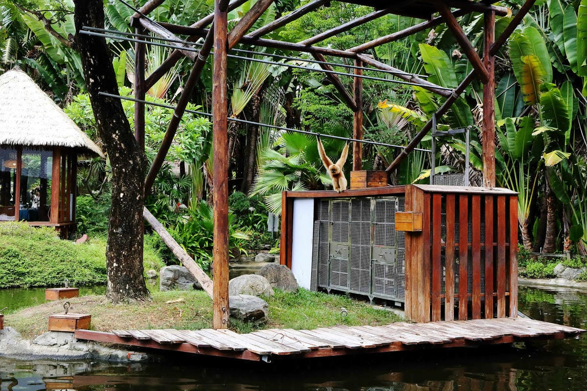 高雄親子景點寵物友善景觀餐廳。喝咖啡看飛機、可愛動物區互動、