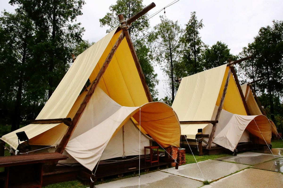 高雄親子景點寵物友善景觀餐廳。喝咖啡看飛機、可愛動物區互動、