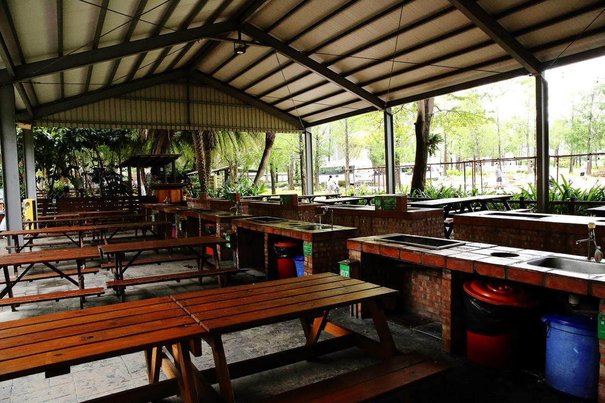 高雄親子景點寵物友善景觀餐廳。喝咖啡看飛機、可愛動物區互動、