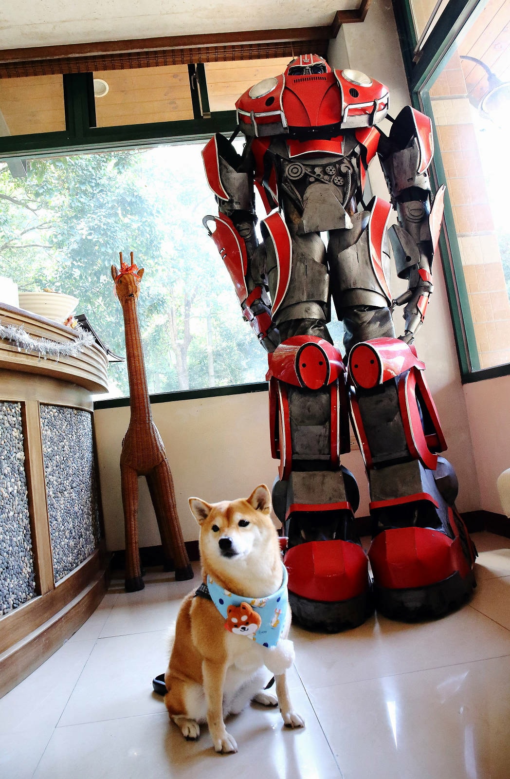 苗栗南庄景觀餐廳,南庄好山好水好人情品嘗鱒魚三吃,物超所值3