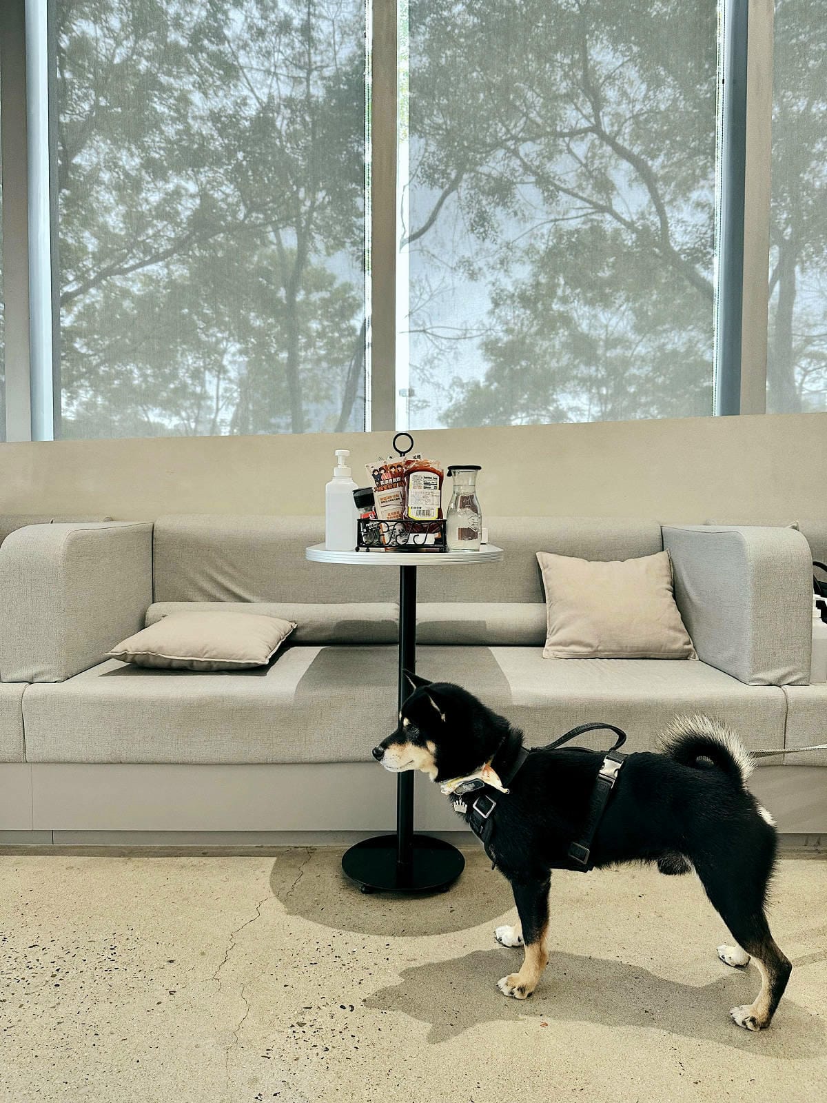 亞東醫院美食推薦，貳樓板橋店，板橋寵物友善餐廳，科技感裝潢，