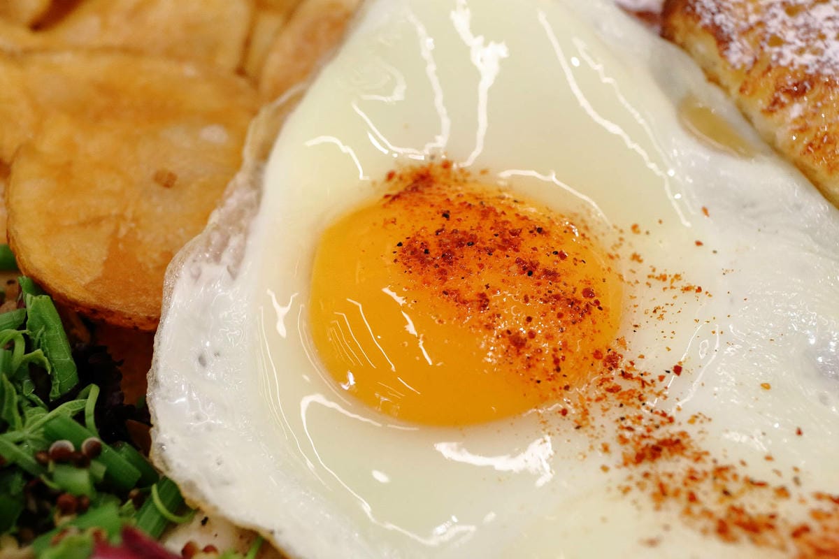 亞東醫院美食推薦，貳樓板橋店，板橋寵物友善餐廳，科技感裝潢，