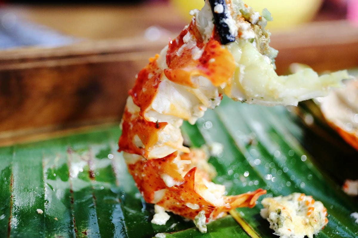 老五の秘密雞地。爆量爌肉飯挑戰大胃王極限，五哥的無菜單料理上