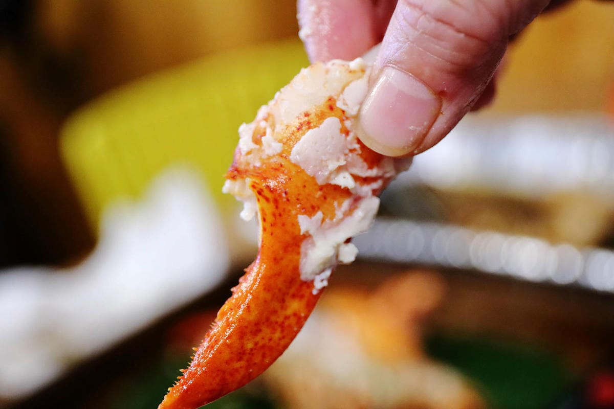 老五の秘密雞地。爆量爌肉飯挑戰大胃王極限，五哥的無菜單料理上