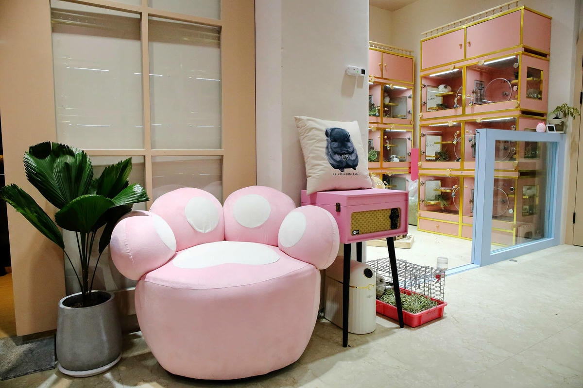 悠悠龍貓咖啡。全台唯一一間龍貓咖啡廳,龍貓卡通本尊活跳跳現身