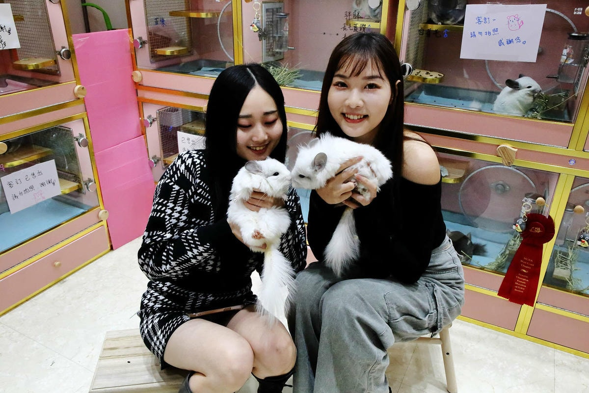 悠悠龍貓咖啡。全台唯一一間龍貓咖啡廳,龍貓卡通本尊活跳跳現身