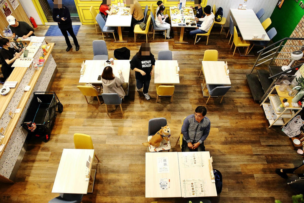 私嚐の吃飯北大店。三峽寵物餐廳推薦,超好吃唐揚雞有層次的咖哩 私嚐の吃飯北大店。三峽寵物餐廳推薦,超好吃唐揚雞有層次的咖哩