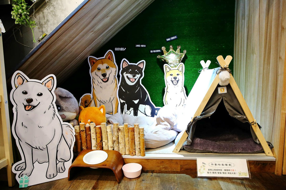 私嚐の吃飯北大店。三峽寵物餐廳推薦,超好吃唐揚雞有層次的咖哩 私嚐の吃飯北大店。三峽寵物餐廳推薦,超好吃唐揚雞有層次的咖哩