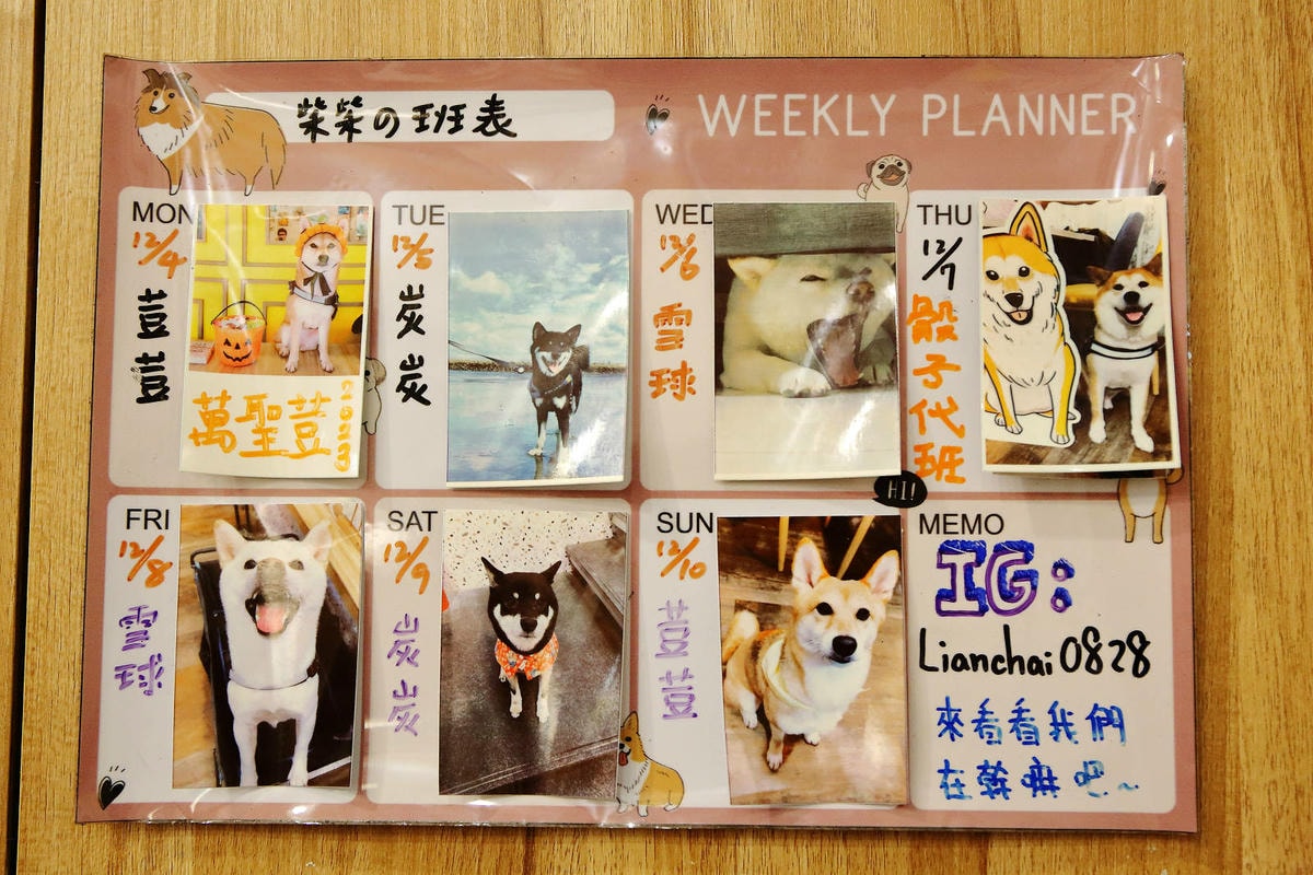 私嚐の吃飯北大店。三峽寵物餐廳推薦,超好吃唐揚雞有層次的咖哩 私嚐の吃飯北大店。三峽寵物餐廳推薦,超好吃唐揚雞有層次的咖哩