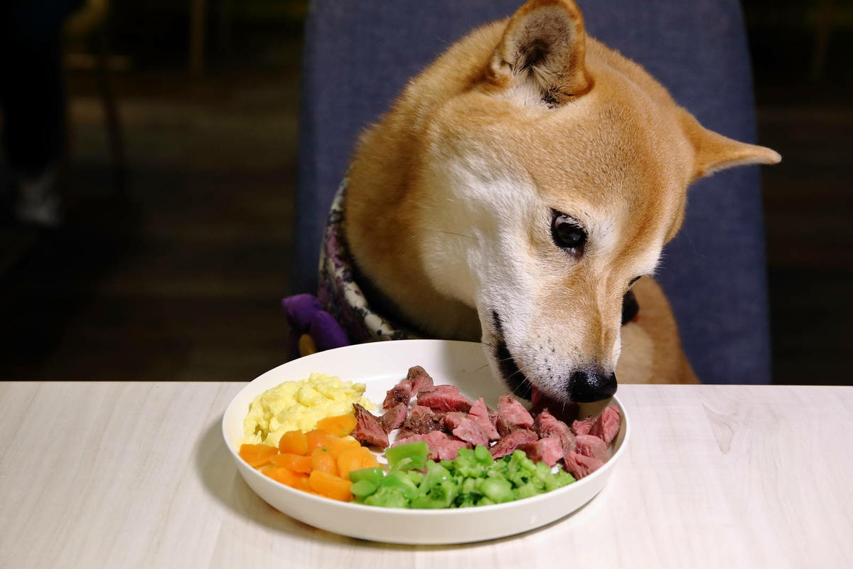 私嚐の吃飯北大店。三峽寵物餐廳推薦,超好吃唐揚雞有層次的咖哩 私嚐の吃飯北大店。三峽寵物餐廳推薦,超好吃唐揚雞有層次的咖哩
