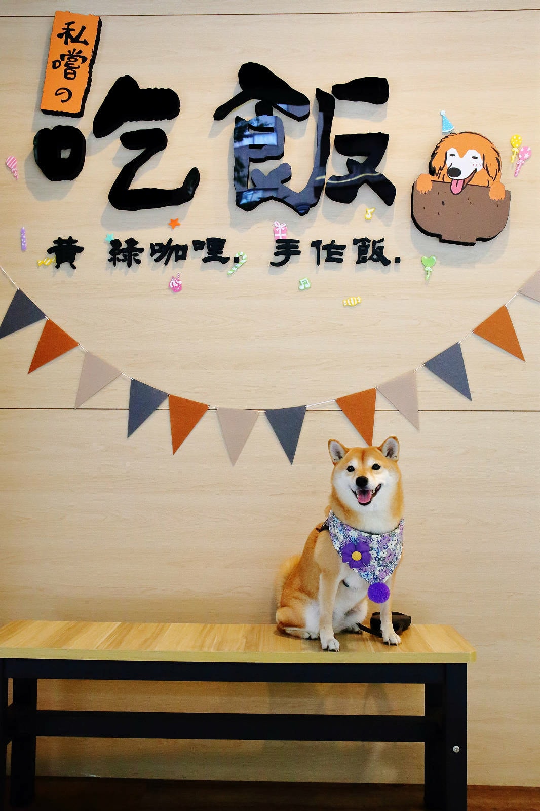 私嚐の吃飯北大店。三峽寵物餐廳推薦,超好吃唐揚雞有層次的咖哩 私嚐の吃飯北大店。三峽寵物餐廳推薦,超好吃唐揚雞有層次的咖哩